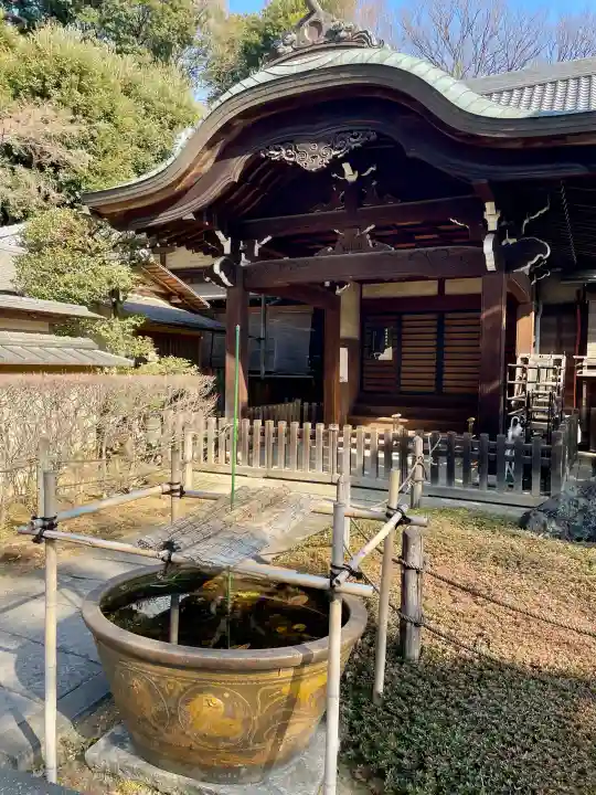 東長谷寺 薬王院の{uncategorized: "未分類", other: "その他", undefined: "問題あり", building: "その他建物", grave: "お墓", sacred_gate: "鳥居", guardian: "狛犬", statue: "像", buddha: "仏像", history: "歴史", nature: "自然", garden: "庭園", animal: "動物", pagoda: "塔", temizu: "手水舎", mountain_gate: "山門・神門", sanctuary: "本殿・本堂", subordinate: "末社・摂社", art: "芸術", scenery: "景色", jizo: "地蔵", ema: "絵馬", goshuin: "御朱印", omikuji: "おみくじ", items: "授与品その他", amulet: "お守り", goshuincho: "御朱印帳", eats: "食事", festival: "お祭り", votive_dance: "神楽", shichigosan: "七五三参", wedding: "結婚式", experience: "体験その他", initially: "初詣", around: "周辺", anti_infection: "感染症対策"}