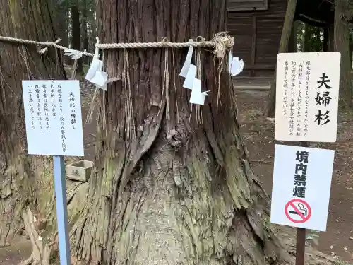 間々田八幡宮の{uncategorized: "未分類", other: "その他", undefined: "問題あり", building: "その他建物", grave: "お墓", sacred_gate: "鳥居", guardian: "狛犬", statue: "像", buddha: "仏像", history: "歴史", nature: "自然", garden: "庭園", animal: "動物", pagoda: "塔", temizu: "手水舎", mountain_gate: "山門・神門", sanctuary: "本殿・本堂", subordinate: "末社・摂社", art: "芸術", scenery: "景色", jizo: "地蔵", ema: "絵馬", goshuin: "御朱印", omikuji: "おみくじ", items: "授与品その他", amulet: "お守り", goshuincho: "御朱印帳", eats: "食事", festival: "お祭り", votive_dance: "神楽", shichigosan: "七五三参", wedding: "結婚式", experience: "体験その他", initially: "初詣", around: "周辺", anti_infection: "感染症対策"}