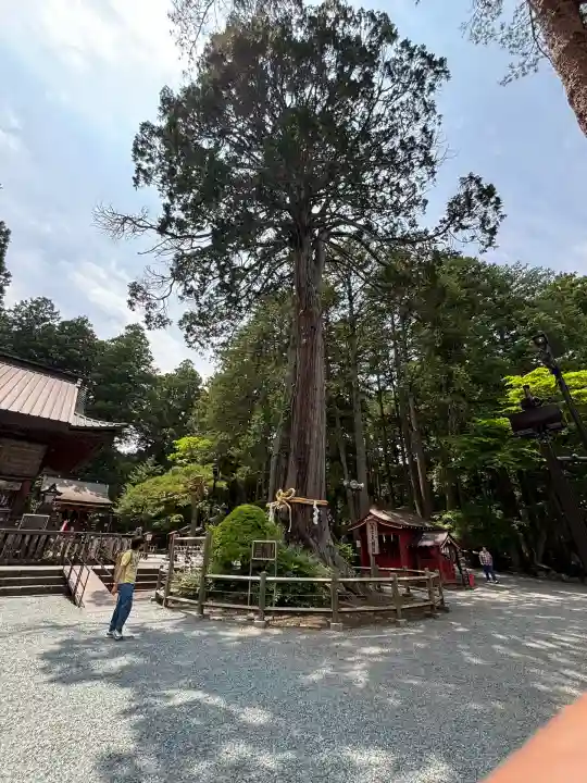 北口本宮冨士浅間神社(山梨県)