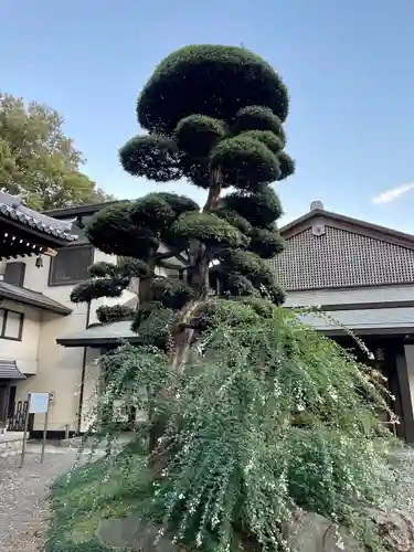 總持寺の庭園