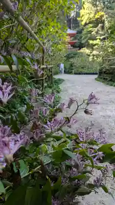 岩船寺(京都府)