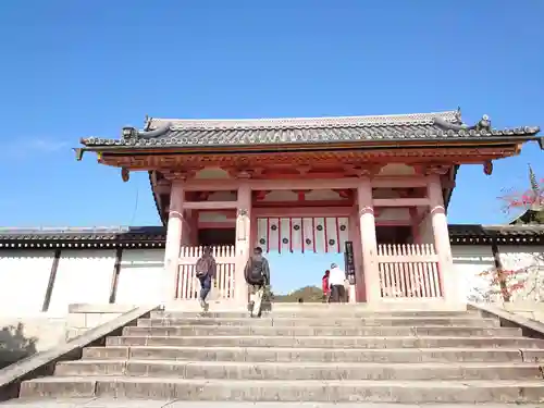 仁和寺の山門