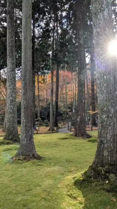 三千院門跡(京都府)
