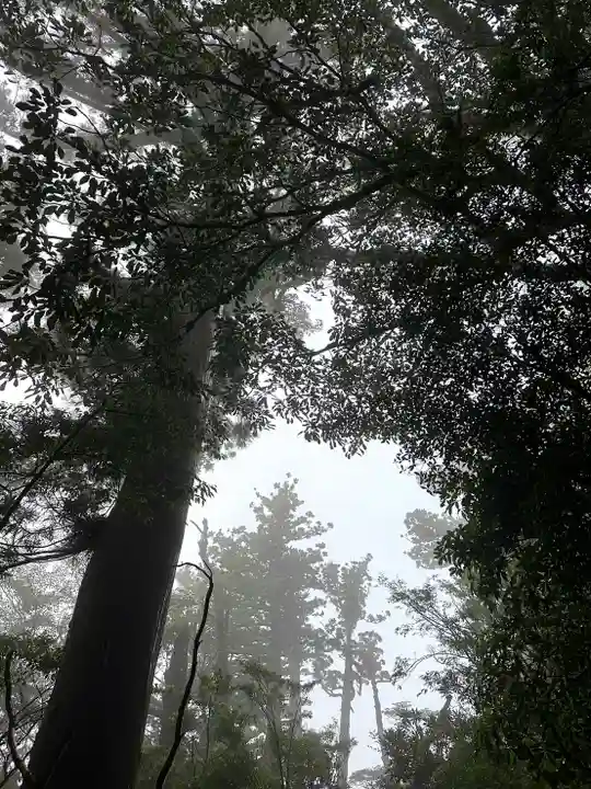 屋久島大社の庭園