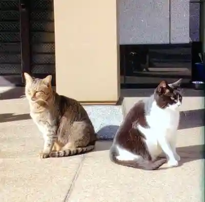 白金氷川神社(東京都)