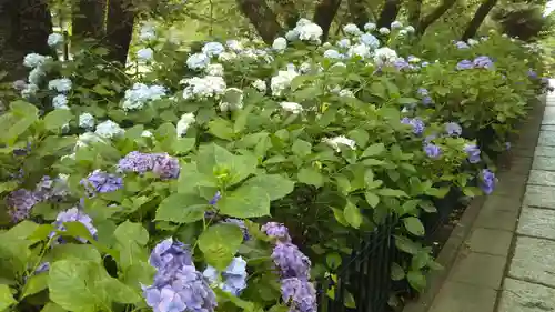 二十三夜尊 桂岸寺の自然