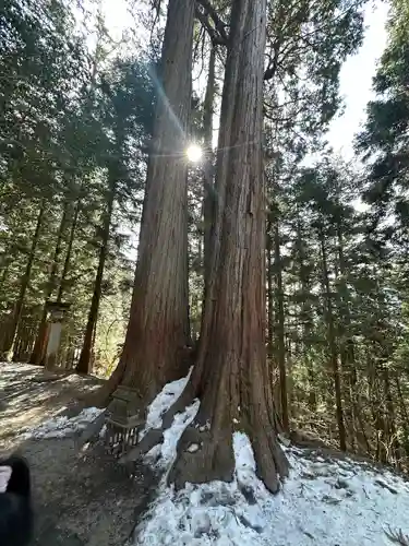 三峯神社の自然