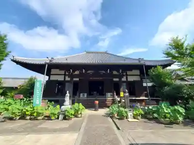 洞雲寺の本殿・本堂