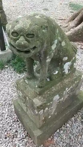 間々田八幡宮の狛犬