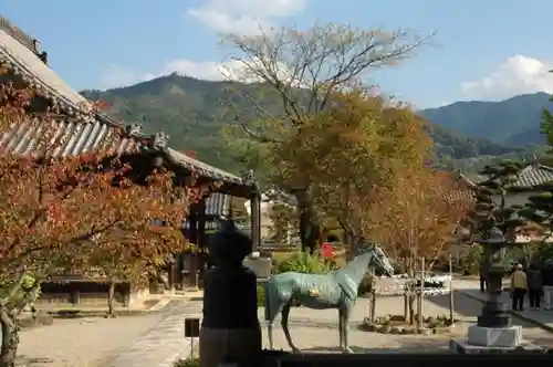 橘寺の狛犬