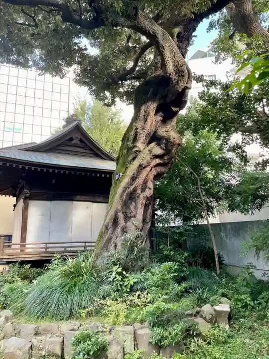 大森山王日枝神社(東京都)