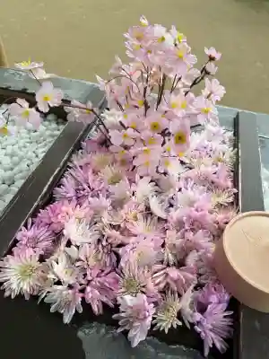 根岸八幡神社の{uncategorized: "未分類", other: "その他", undefined: "問題あり", building: "その他建物", grave: "お墓", sacred_gate: "鳥居", guardian: "狛犬", statue: "像", buddha: "仏像", history: "歴史", nature: "自然", garden: "庭園", animal: "動物", pagoda: "塔", temizu: "手水舎", mountain_gate: "山門・神門", sanctuary: "本殿・本堂", subordinate: "末社・摂社", art: "芸術", scenery: "景色", jizo: "地蔵", ema: "絵馬", goshuin: "御朱印", omikuji: "おみくじ", items: "授与品その他", amulet: "お守り", goshuincho: "御朱印帳", eats: "食事", festival: "お祭り", votive_dance: "神楽", shichigosan: "七五三参", wedding: "結婚式", experience: "体験その他", initially: "初詣", around: "周辺", anti_infection: "感染症対策"}