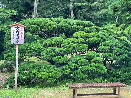 達谷西光寺(岩手県)