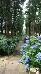 磯山神社(栃木県)