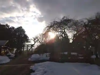 足羽神社(福井県)