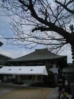 妙長寺の本殿・本堂