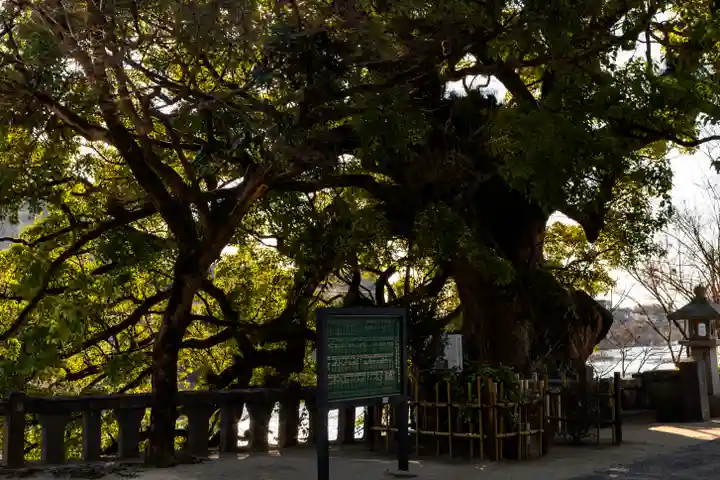 與止日女神社(佐賀県)