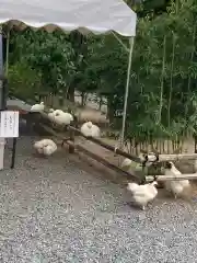 高屋敷稲荷神社(福島県)