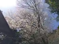 山国護国神社(京都府)