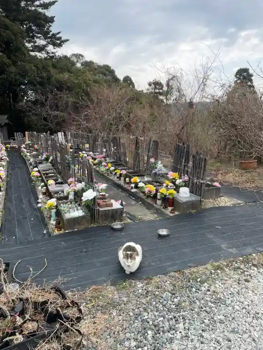 太江寺(三重県)