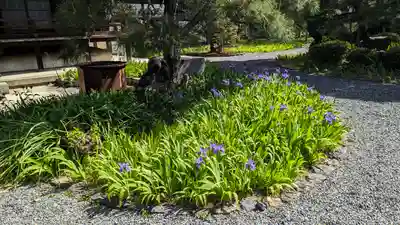 得浄明院(善光寺別院)(京都府)