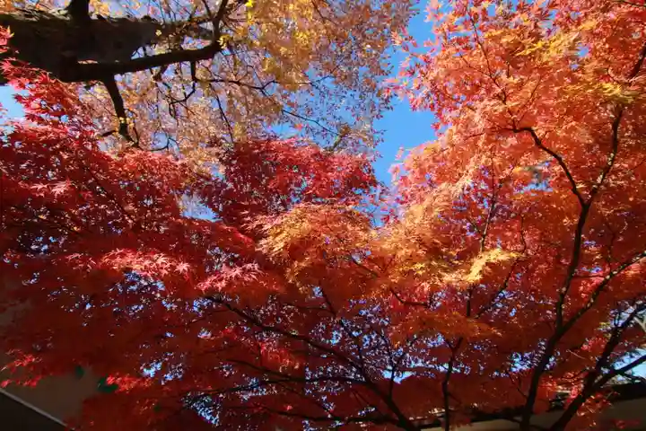 安積國造神社の自然