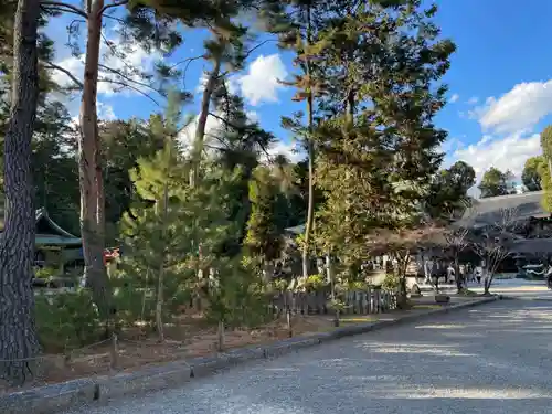 今宮神社の自然