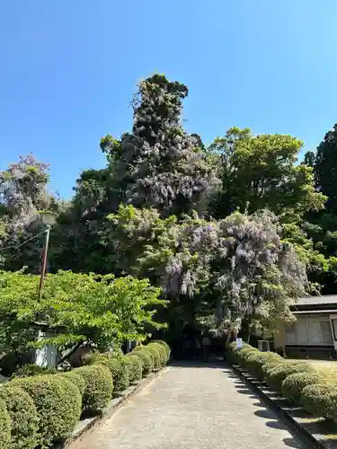 礒部神社(富山県)