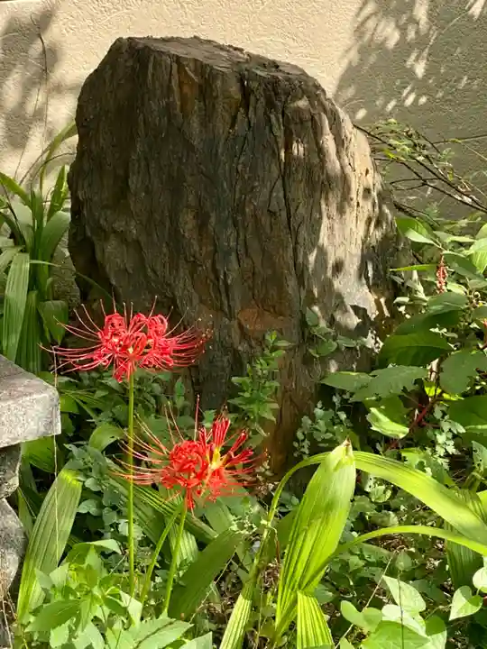 粟嶋堂宗徳寺の自然