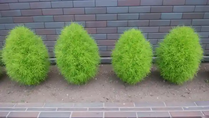 当別神社の自然