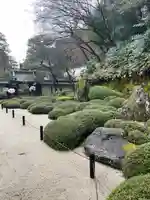 知恩院(京都府)