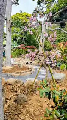 菊田神社の自然