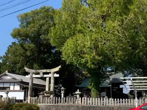 豊福阿蘇神社の鳥居