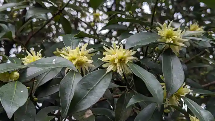 大報恩寺(千本釈迦堂)(京都府)