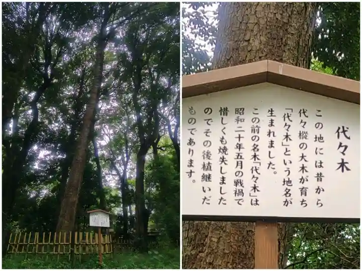 明治神宮(東京都)