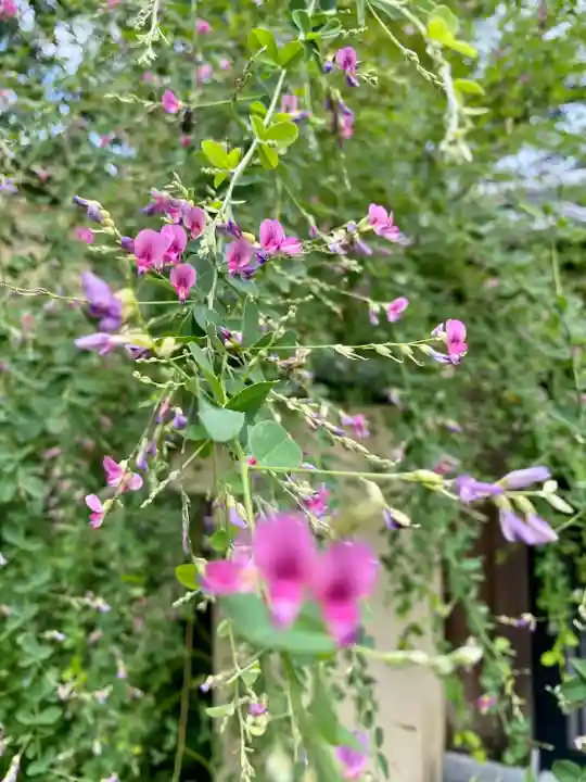 梨木神社(京都府)
