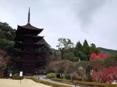 瑠璃光寺(山口県)