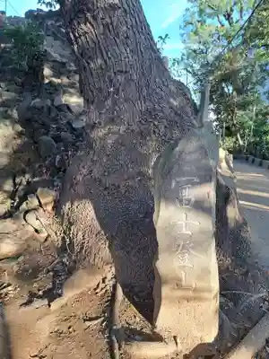 品川神社(東京都)