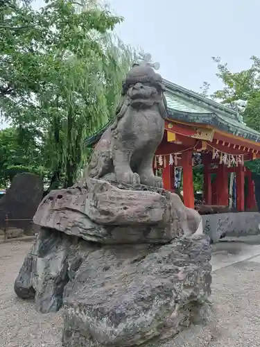浅草神社の狛犬