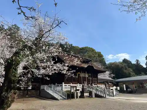 手力雄神社(岐阜県)