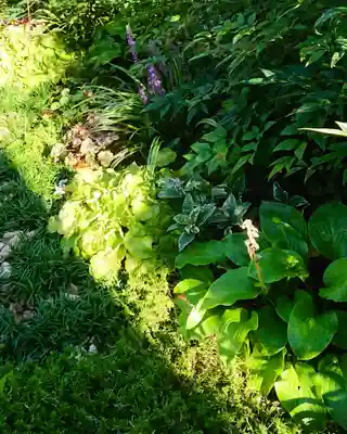 寿量山 速成寺の周辺