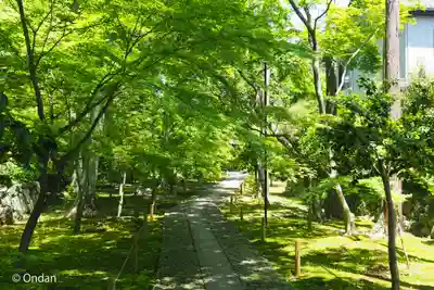 鹿王院(京都府)