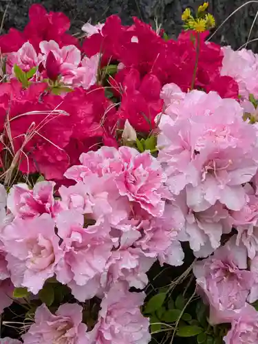 東光寺(東京都)