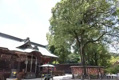 達磨寺(群馬県)