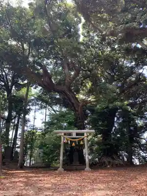 戸隠神社(千葉県)