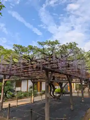 愛染院(東京都)