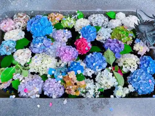 東海市熊野神社(愛知県)