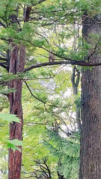 北海道護國神社の動物