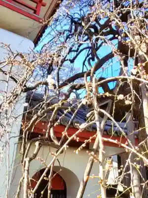 成願寺(東京都)