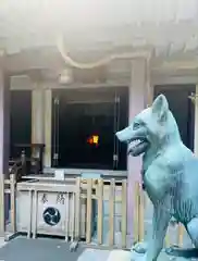 宮益御嶽神社の狛犬